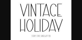 Vintage Holiday Font Poster 1