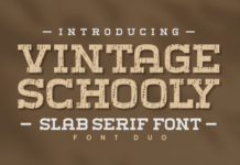 Vintage Schooly Fonts