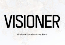 Visioner Font Poster 1