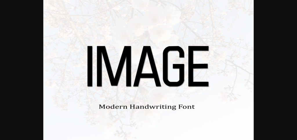 Visioner Font Poster 5