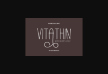 Vitathin Font Poster 1