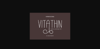 Vitathin Font Poster 1