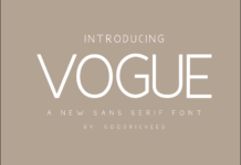 Vogue Font Poster 1