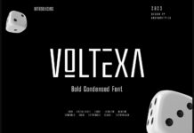 Voltexa Font Poster 1