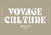 Voyage Culture Font Poster 1