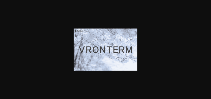 Vronterm Font Poster 3