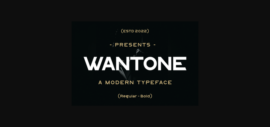 Wantone Font Poster 3