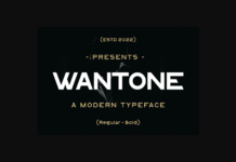 Wantone Font Poster 1