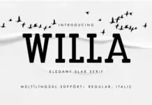 Willa Willa Fonts