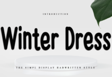 Winter Dress Font Poster 1