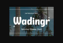 Wadingr Font Poster 1