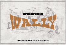 Wally Font Poster 1