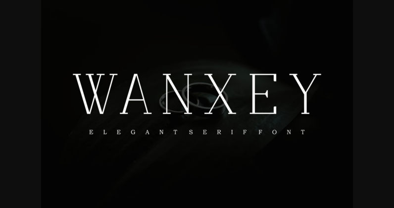 Wanxey Font Poster 3