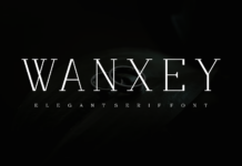 Wanxey Font Poster 1