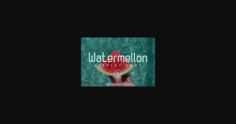 Watermellon Poster 3