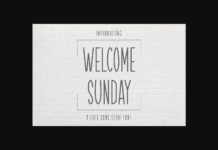 Welcome Sunday Font Poster 1