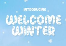 Welcome Winter Font Poster 1