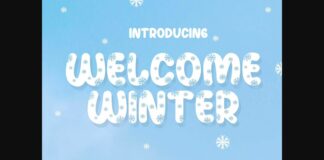 Welcome Winter Font Poster 1