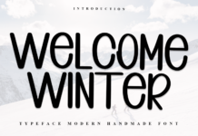 Welcome Winter Font Poster 1