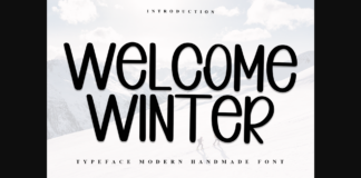 Welcome Winter Font Poster 1