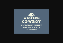 Western Cowboy Poster 1