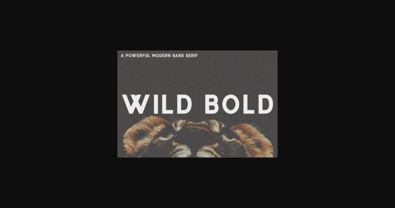 Wild Bold Font Poster 3