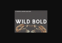 Wild Bold Font Poster 1