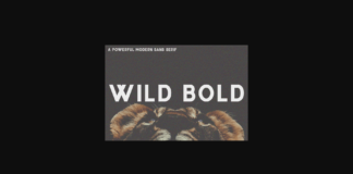 Wild Bold Font Poster 1