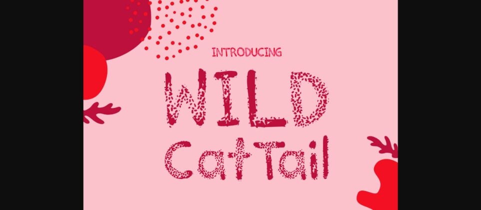 Wild Cat Tail Font Poster 3
