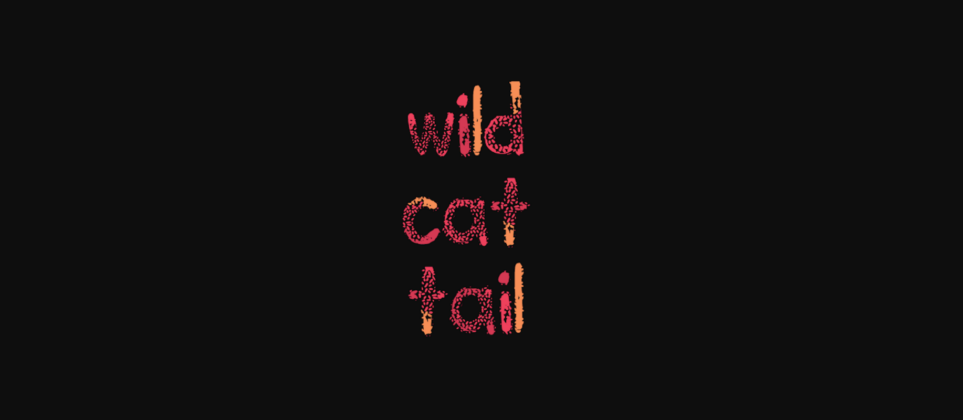 Wild Cat Tail Font Poster 4