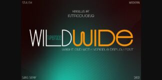 Wild Wide Font Poster 1