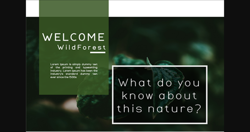 Wildforest Font Poster 5