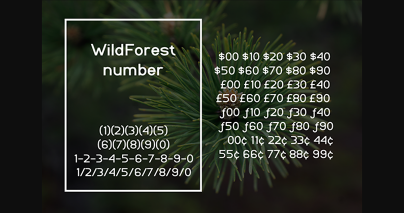 Wildforest Font Poster 7