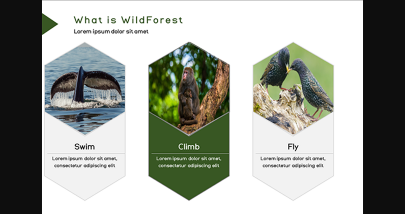 Wildforest Font Poster 10