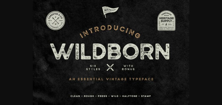 Wildborn Font Poster 1