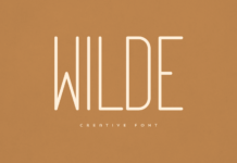 Wilde Font Poster 1