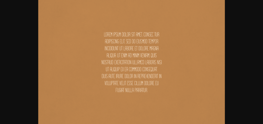 Wilde Font Poster 5