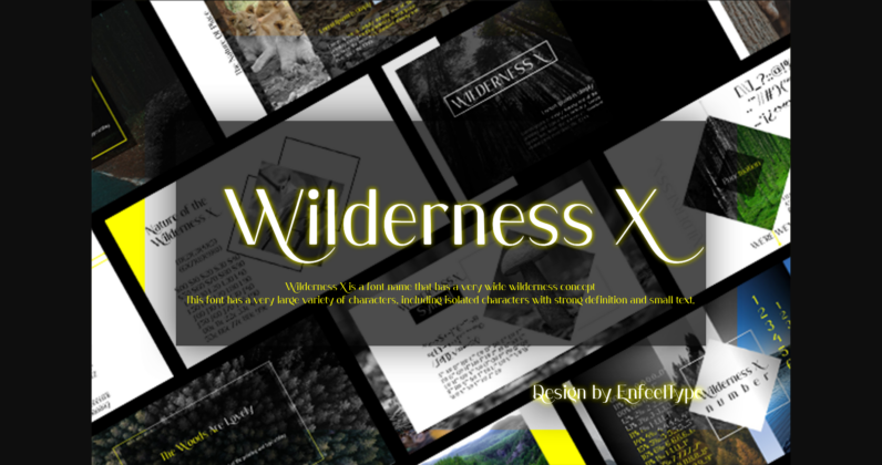 Wilderness X Font Poster 3