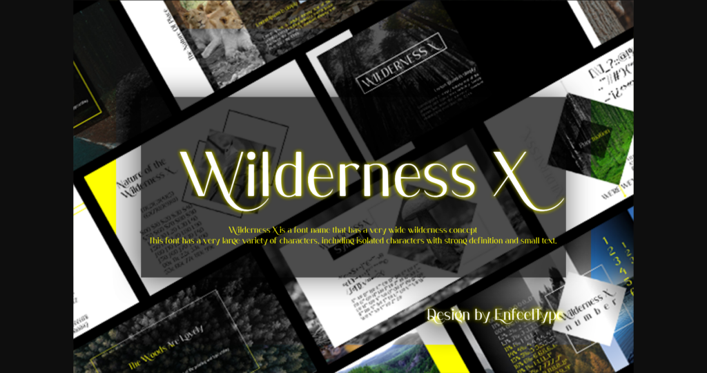 Wilderness X Font Poster 1