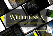 Wilderness X Font Poster 1