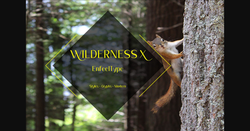 Wilderness X Font Poster 4