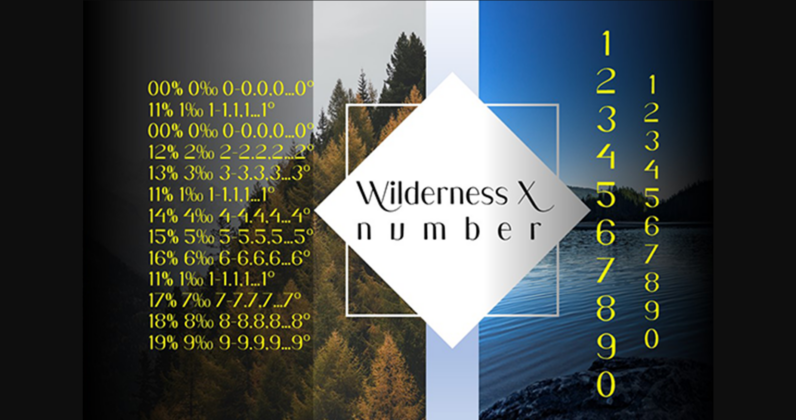 Wilderness X Font Poster 7