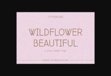 Wildflower Beautiful Font Poster 1