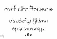 Wildflower Font Poster 1