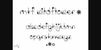 Wildflower Font Poster 1