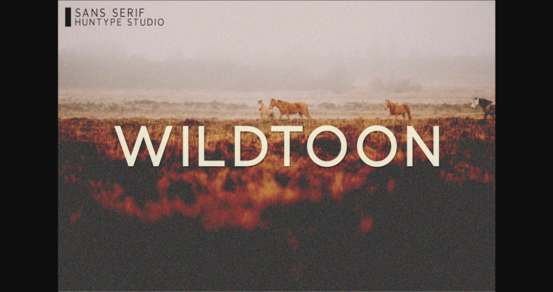 Wildtoon Font Poster 3
