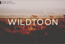 Wildtoon Font Poster 1