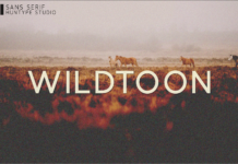 Wildtoon Font Wildtoon Font Poster 1