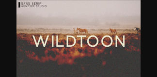 Wildtoon Font Poster 1