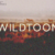 Wildtoon Font
